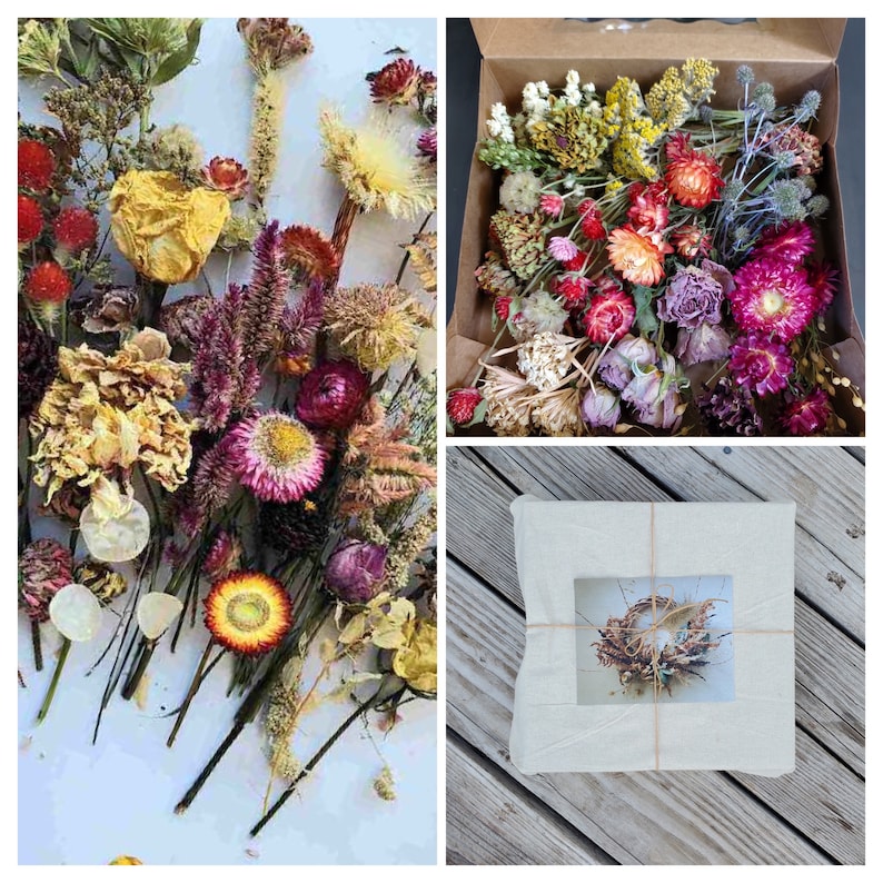 Dried Flower Craft Box Etsy