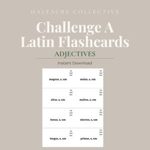 May include: A digital document titled Halfacre Collective Challenge A Latin Flashcards Adjectives Instant Download. The page displays eight Latin adjectives in two columns, including magnus, malus, altus, multus, bonus, sānctus, longus, and prīmus.