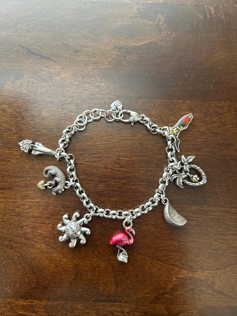 May include: Silver charm bracelet featuring various charms, including a pink flamingo, a sun with the text "The Sunshine State", a parrot, and a palm tree. The bracelet is made of silver-toned metal and has a lobster clasp closure.