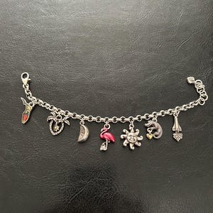 May include: Silver charm bracelet featuring various charms, including a Florida-shaped charm, a strawberry, a crescent moon, a pink flamingo, a sun, an alligator, and a palm tree. The bracelet is on a black surface.