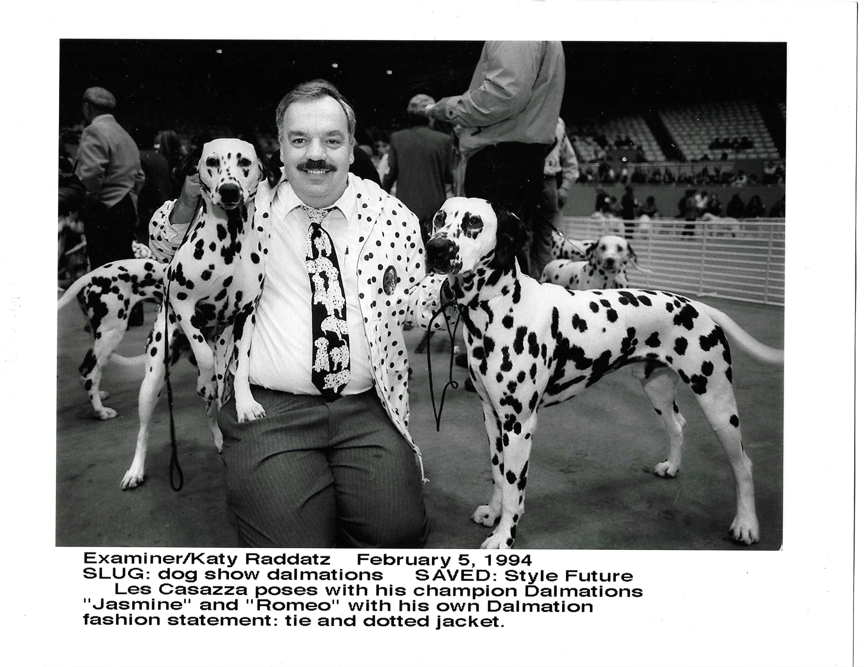 DALMATIAN Original Dog Show PHOTO Pet Animal Lover Wall Decor