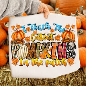 Puede incluir: Una camiseta blanca con un gráfico que incluye el texto I Teach The Cutest PUMPKINS In the patch. El diseño presenta calabazas naranjas y blancas, ramas de canela y hojas de otoño, con la palabra PUMPKINS en varios patrones como cuadros, estampado de leopardo y manchas de vaca.