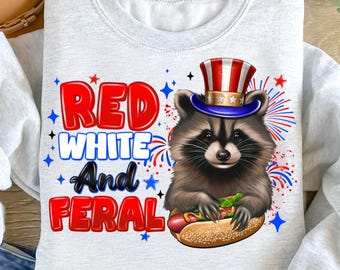 Funny USA Raccoon PNG, 4th Of July Shirt (Digital Download)