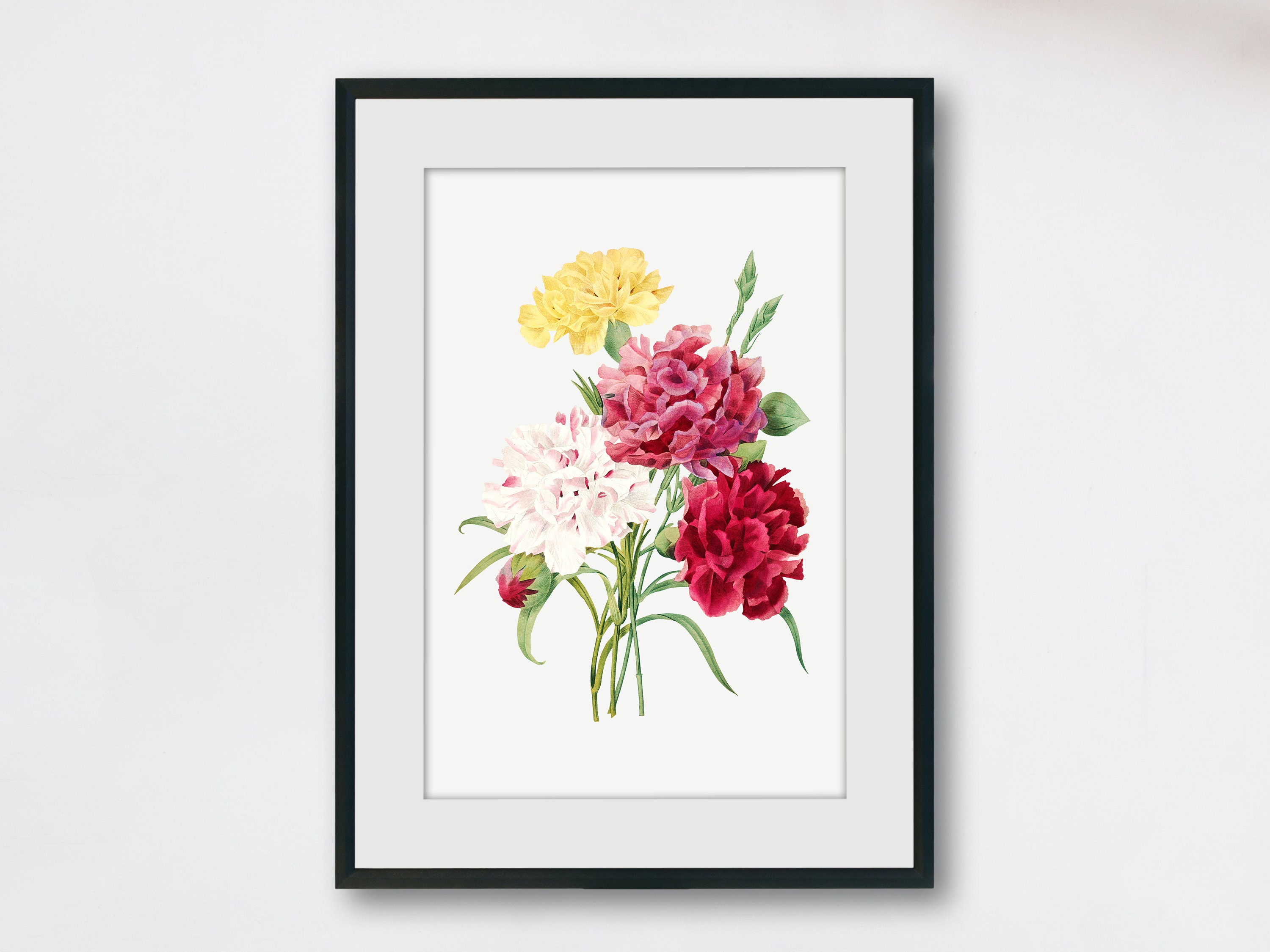 Carnation Flowers, Red Flowers, Wall Art Prints, Wall Decor, Watercolor ...