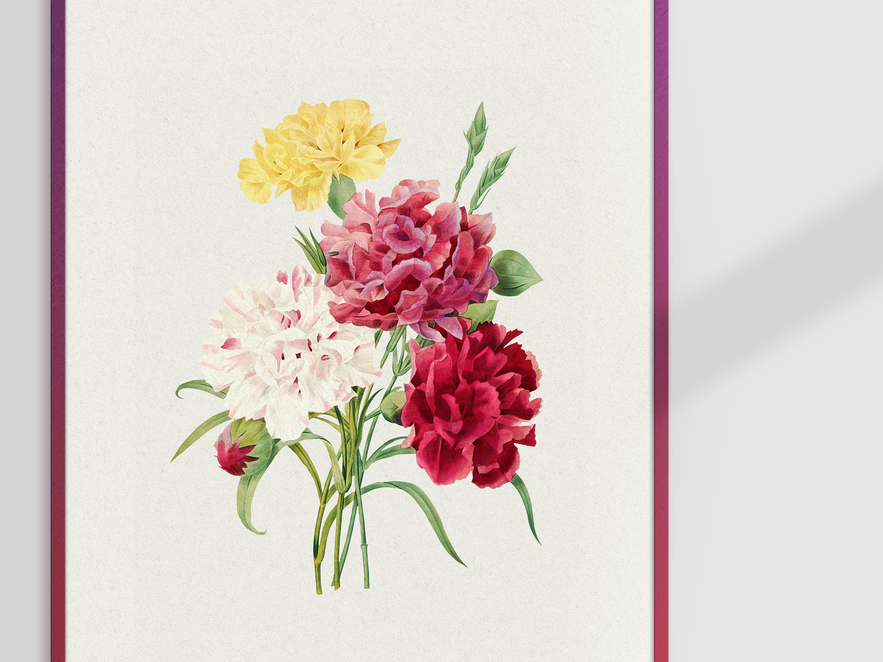Carnation Flowers, Red Flowers, Wall Art Prints, Wall Decor, Watercolor ...