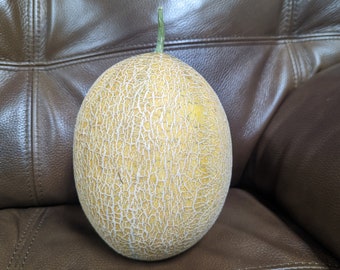 Ein Dor Melon