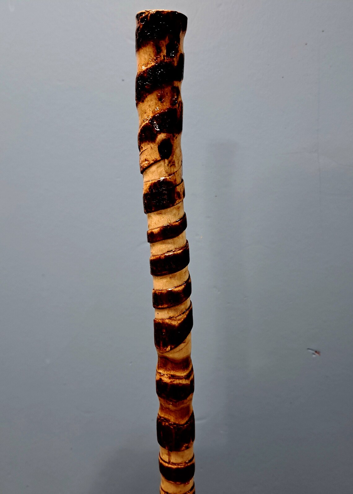 Staghorn Sumac Walking Stick Etsy