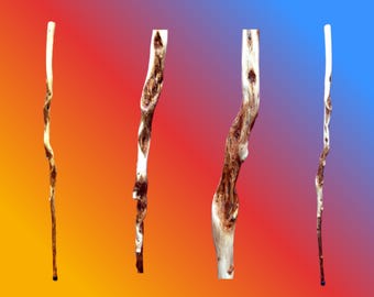 Diamond Willow Walking Stick / Hiking Stick