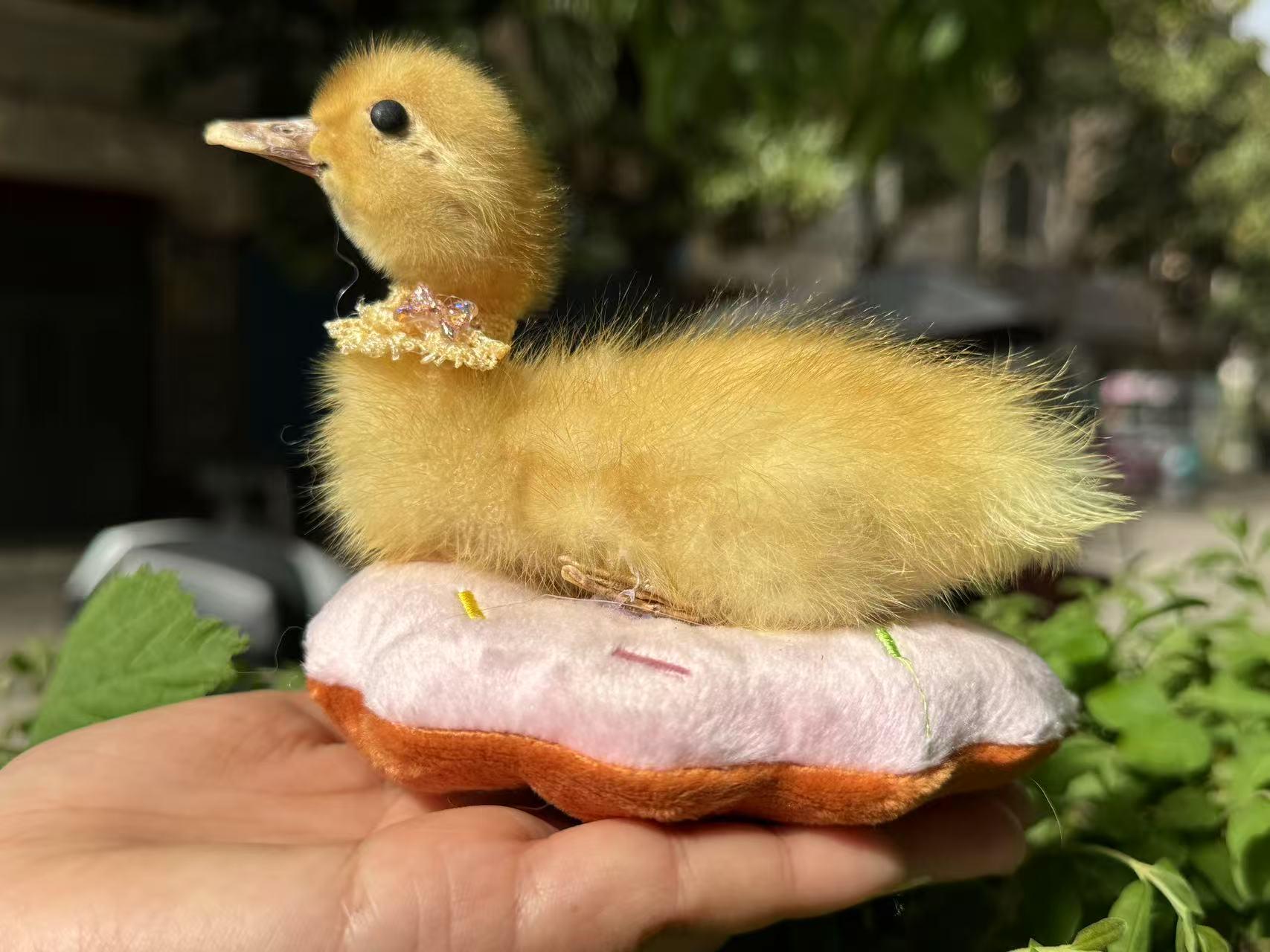 ベルギーアヒルヴィンテージ剥製 ベルギーアヒルヴィンテージ剥製