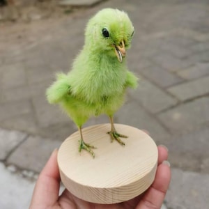 Dyed Green Stuffed Baby Chicken,  Loverly Chicken on wood base, Diorama Chick Bird Mount, Ornaments Chick, Specimen Oddities Curiosities Art