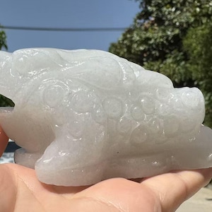 Natural White jade Money Toad Figurine Feng Shui Fortune Coin Stone Crystal Healing Toad/ Frog /Chan Chu Sculpture Prosperity Gemstone DD459