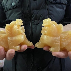 Puede incluir: Dos estatuas de leones tallados, de color amarillo anaranjado. Las estatuas tienen melenas, patas y rasgos faciales detallados. Los leones se sostienen frente a una chaqueta negra. Las estatuas son probablemente objetos decorativos.
