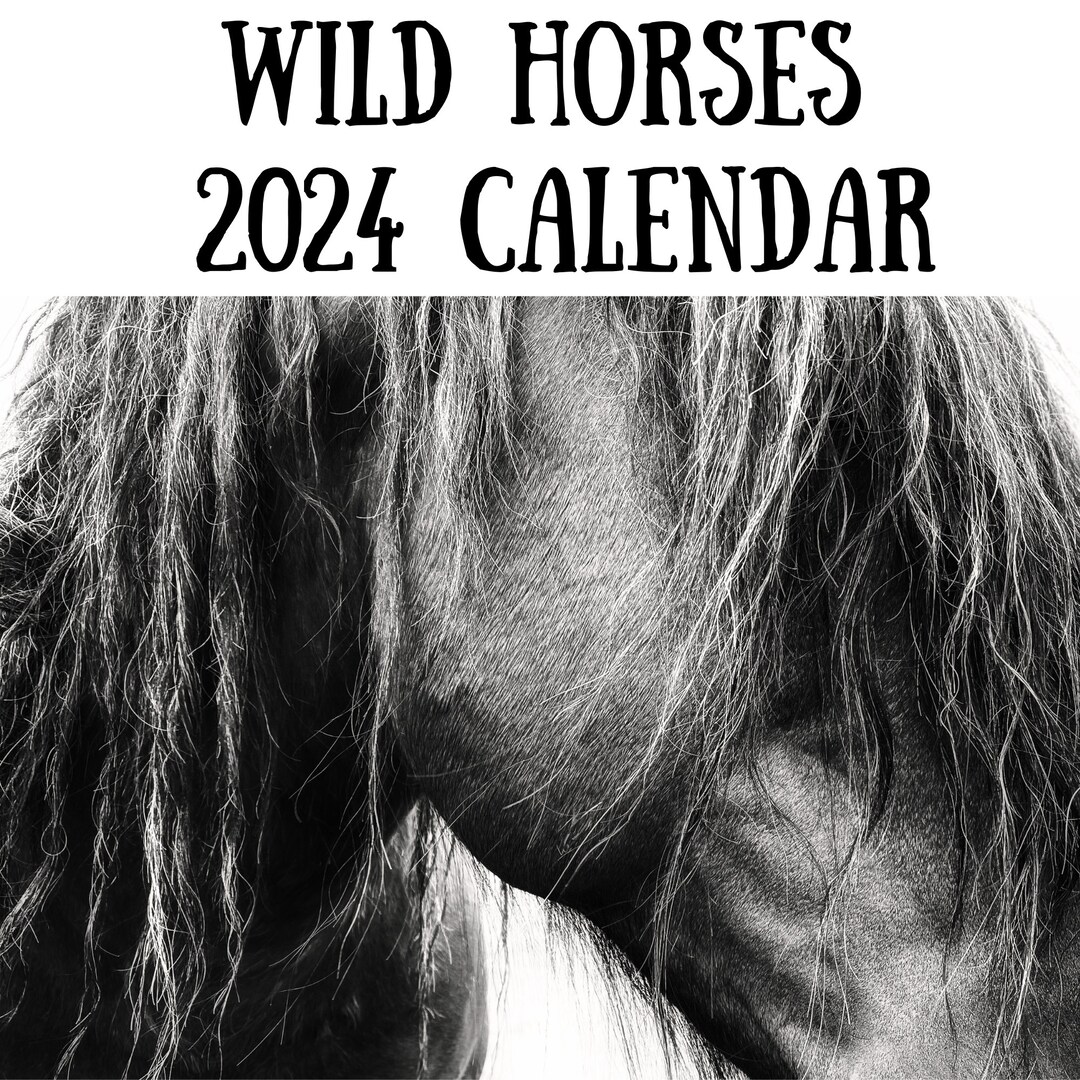 Wild Horses 2024 Calendar Etsy