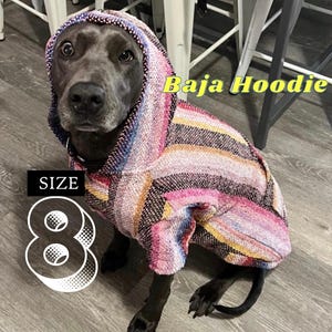 Handwoven Baja Dog Poncho: Mexican Hoodie, Size 8