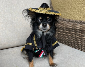 May include: A small black and white chihuahua wearing a black sombrero with gold trim and a black and green costume. The dog is sitting on a light gray couch.