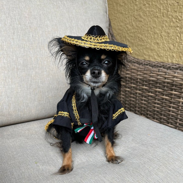 Mariachi Dog Costume with Sombrero/Mariachi outfit for dogs/ Mexican dog outfit / Cinco de Mayo Costume