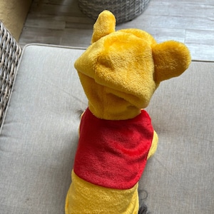 Pooh bear dog toy sales