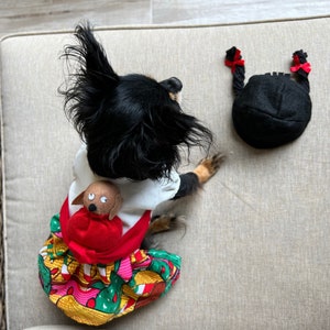 Mexican Dog Female Costume/Mexican Pet girl Costume /Mexican outfit/ Cinco de mayo costume