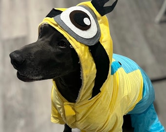 May include: A black dog wearing a yellow and blue Minion costume. The costume has a large, white eye with a black pupil and a black strap.