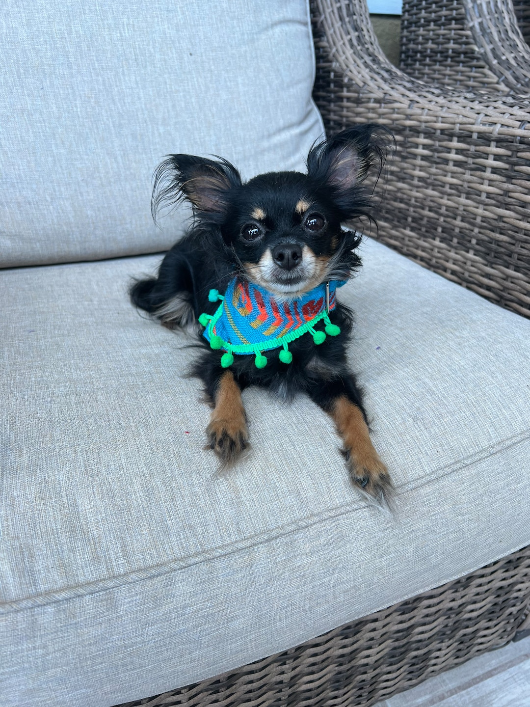 Bandanas mexicanas para perros TALLA XXL, Bandanas para perros