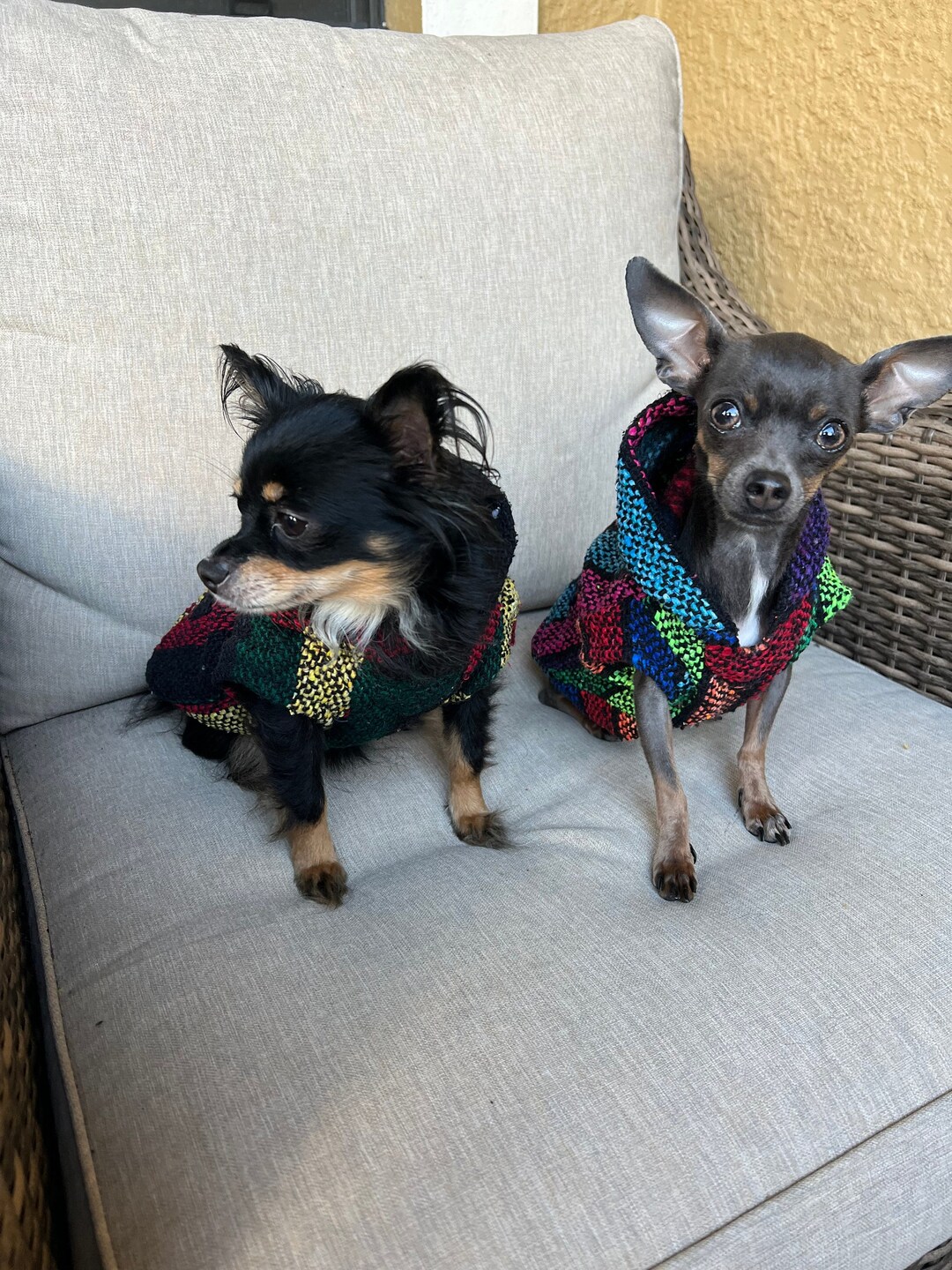 Baja Dog Poncho SIZE 5-mexican Dog Hoodie-mexican Poncho dog Sweater