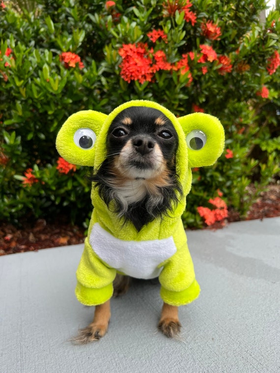 Dog frog costume hotsell