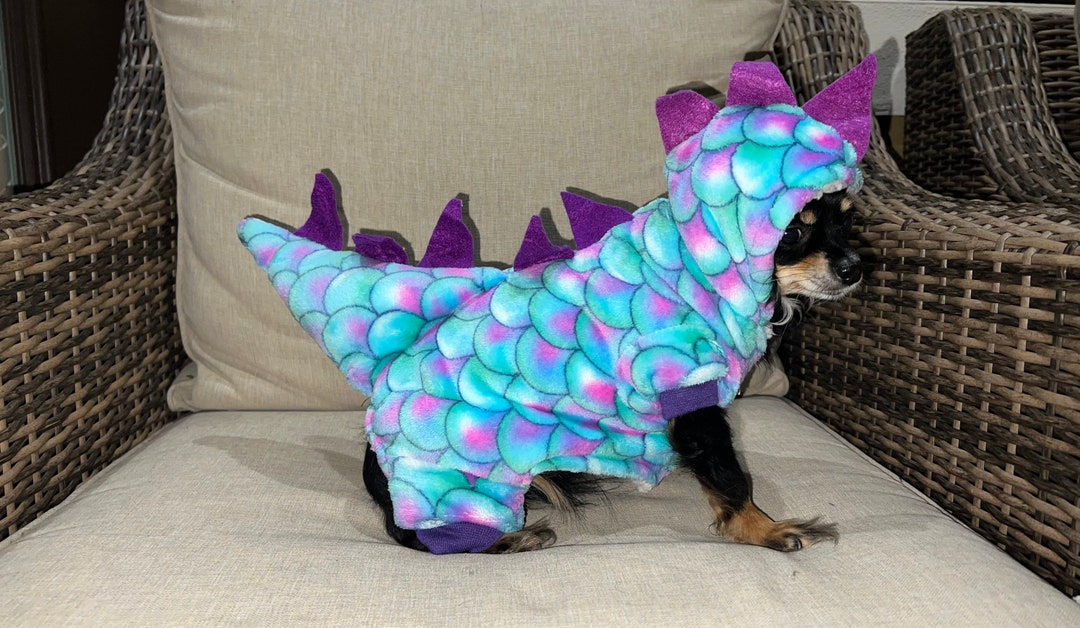 Dinosaur Costume, Dinosaur Dog Costume, Halloween Costume, Pet