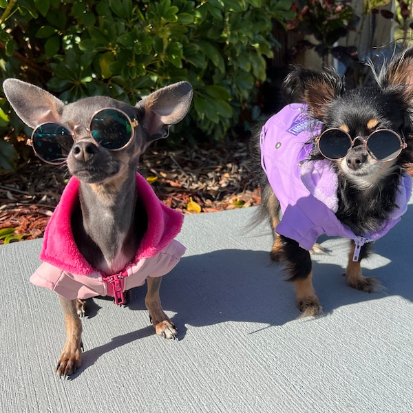 Harley Davidson Dog Collars Etsy