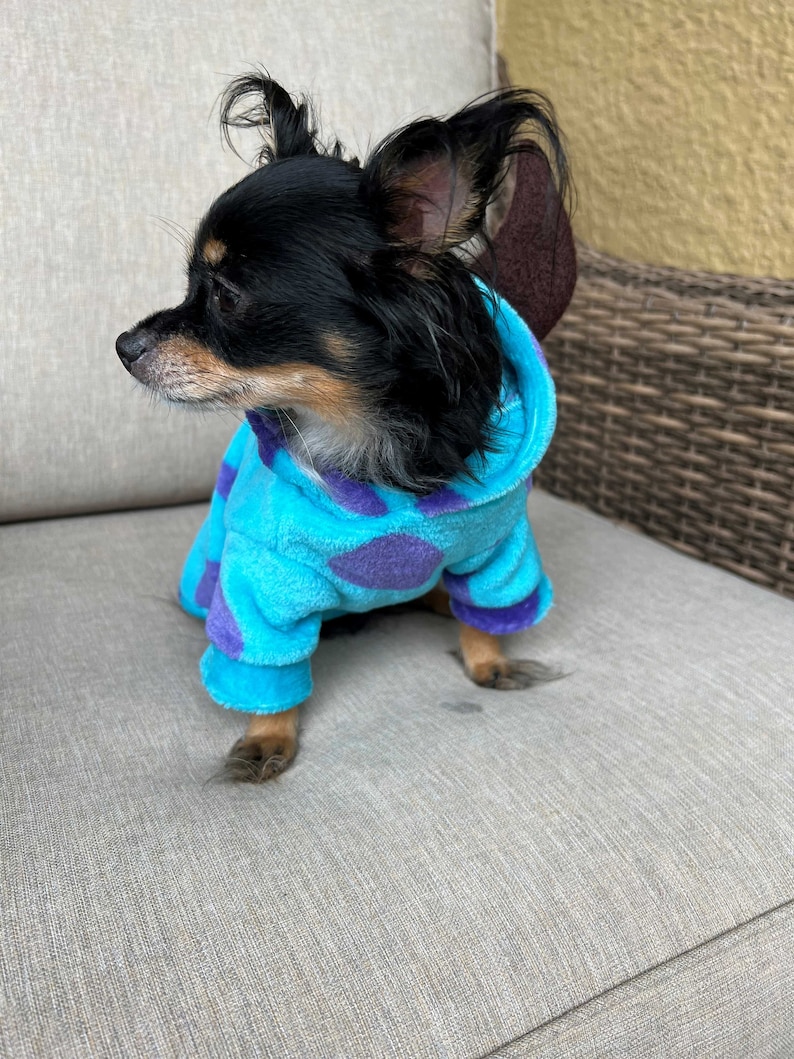 Monster Inc Sullivan Dog Sweater/ Sullivan Pet Sweater /moster Etsy
