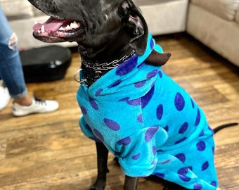 Monster Inc Sullivan Dog Costume: Cozy Pet Hoodie, Winter Costume