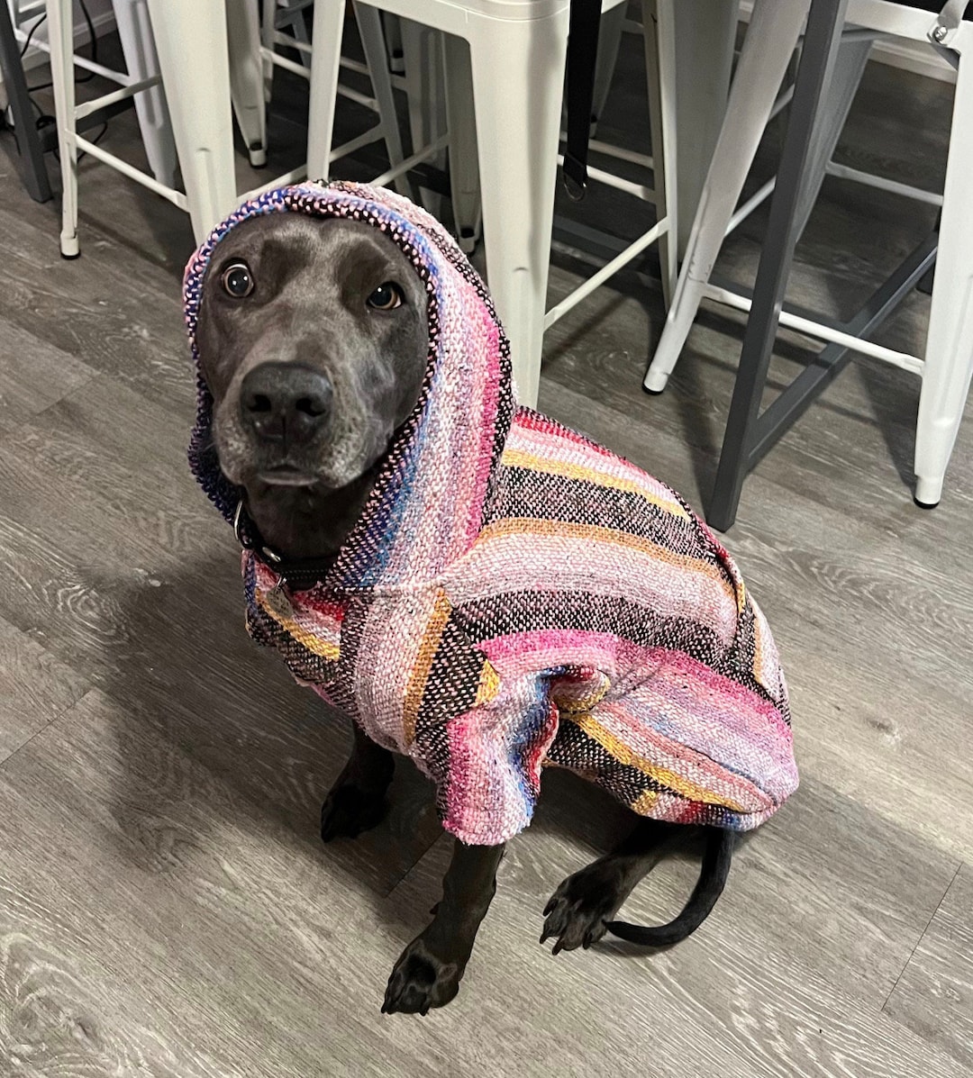 Baja Dog Poncho Size 8-mexican Dog Hoodie-mexican Poncho dog Sweater