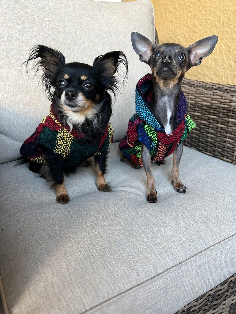 Baja Dog Poncho SIZE 3-mexican Dog Hoodie-mexican Poncho dog - Etsy