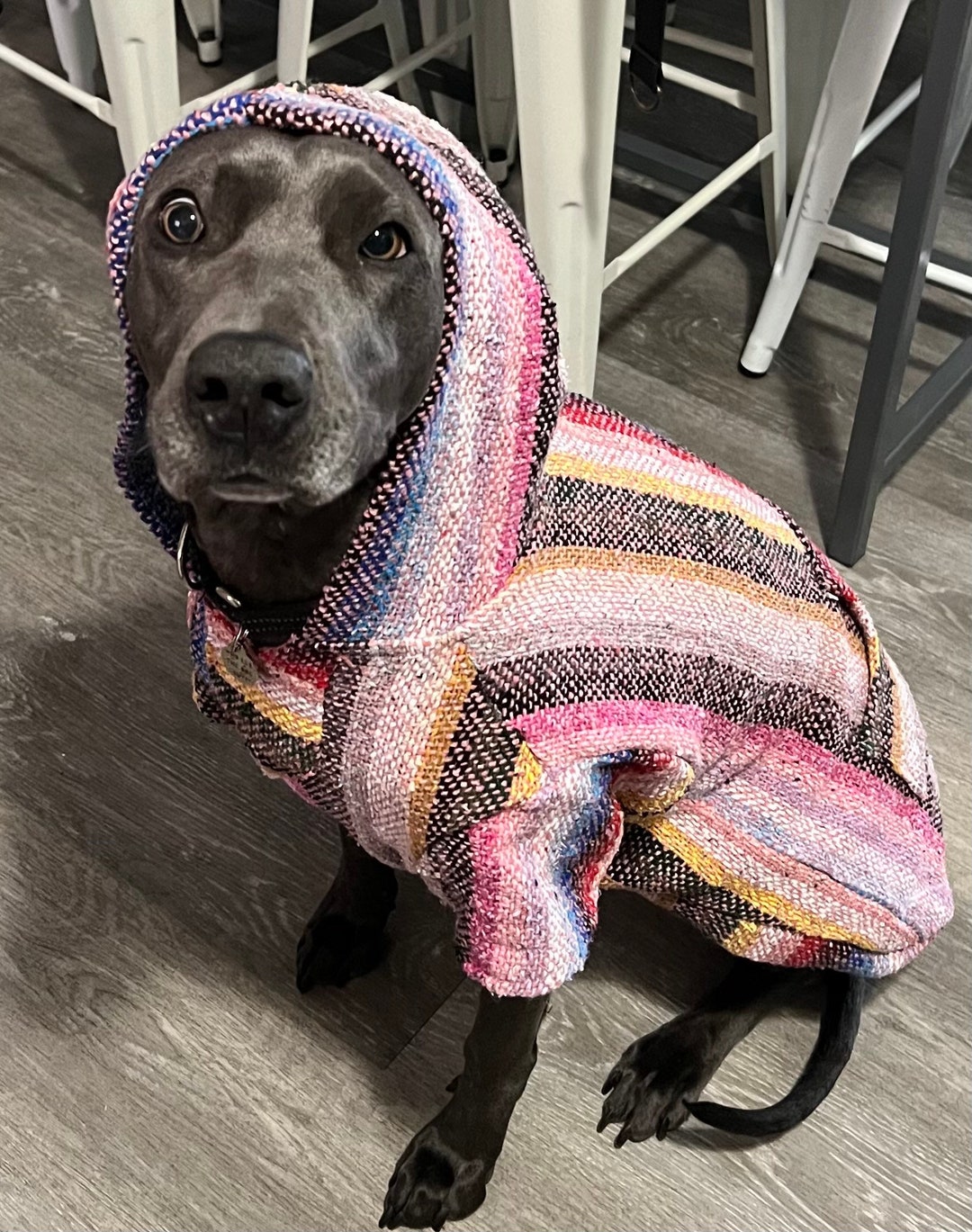 Baja Dog Poncho SIZE 7mexican Dog Hoodiemexican Poncho dog Etsy