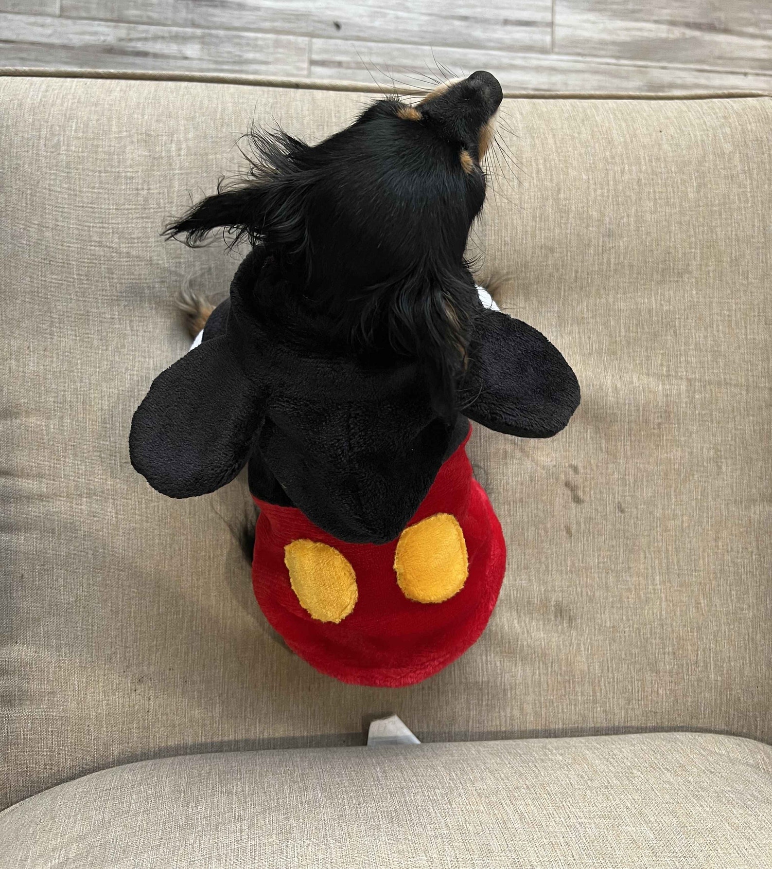 Mickey Mouse Dog Sweater Winter Sweater Dog Mickey Sweater Etsy