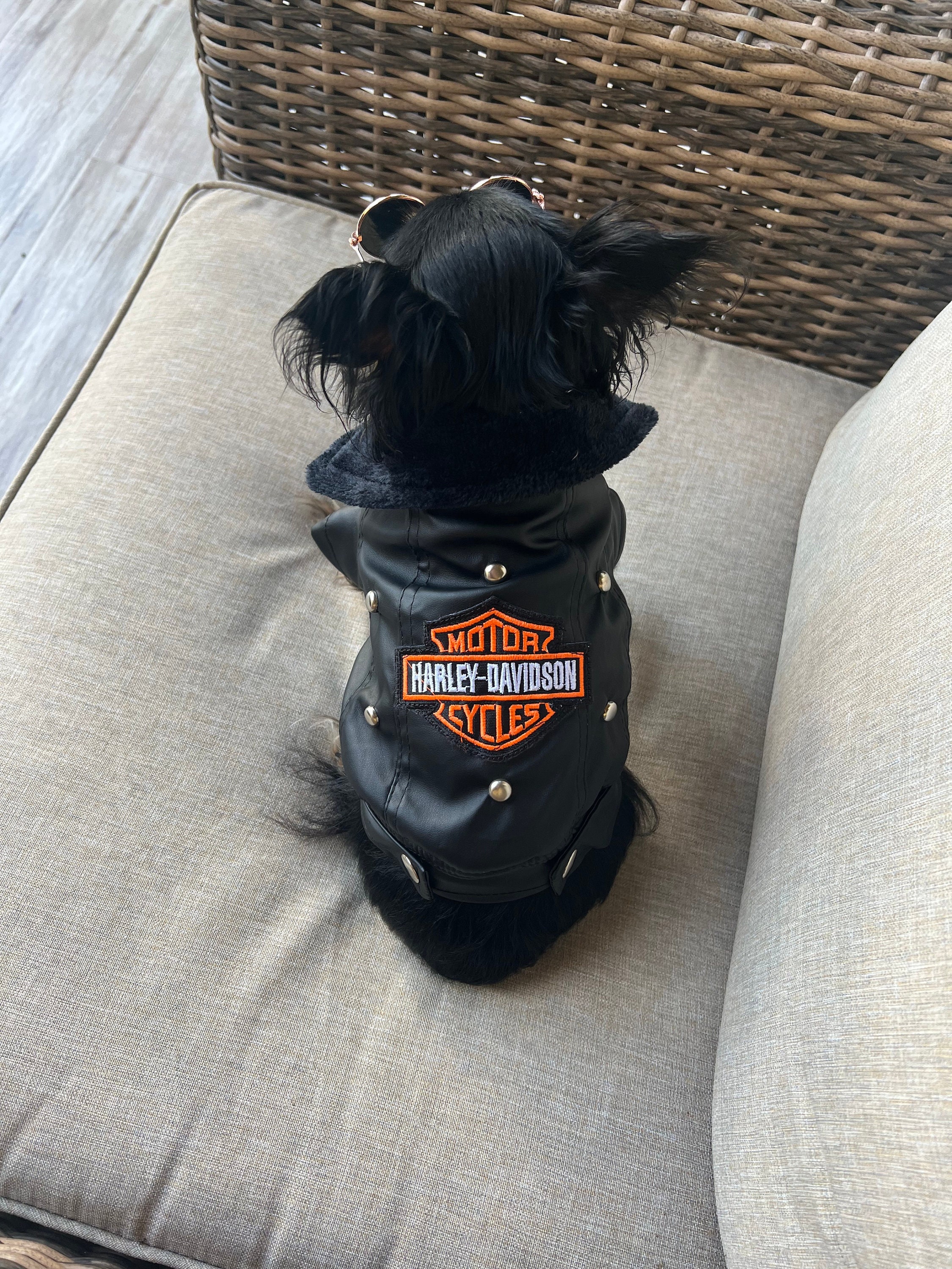 Harley Davidson Dog Clothes - Etsy UK