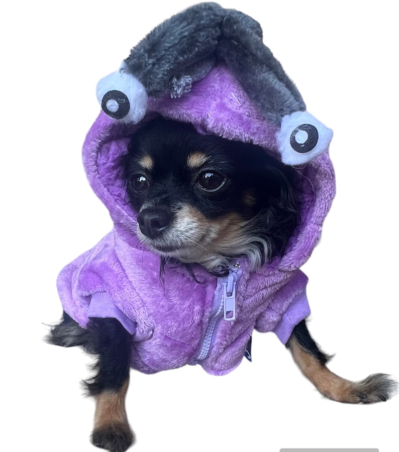 May include: A small black and brown chihuahua wearing a purple hooded dog sweater with a grey and white monster head on the hood. The sweater has a zipper and white eyes on the hood.