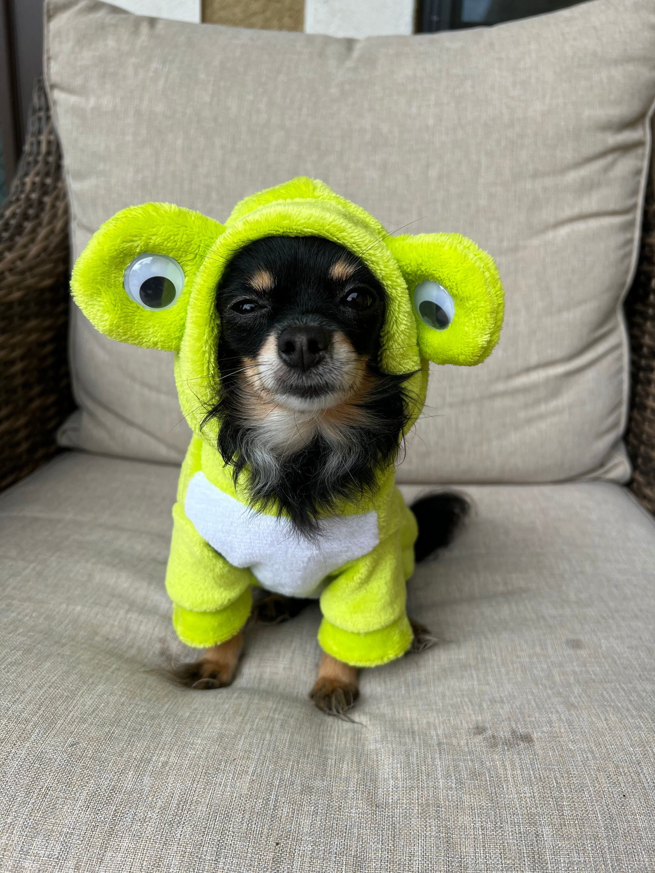Disfraz De Rana Para Perro Pequeño - Pijama De Forro Polar Con Capucha, Talla S, Ideal Para Halloween O Invierno