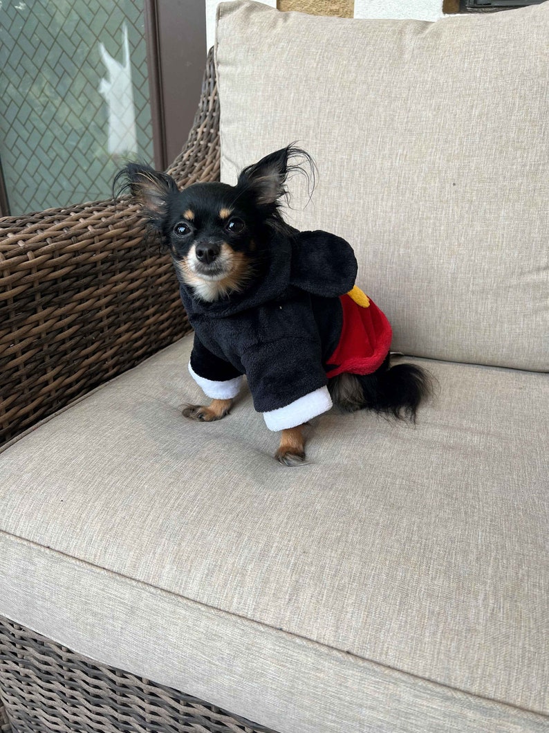 Mickey Mouse Dog Sweater Winter Sweater Dog Mickey Sweater Etsy