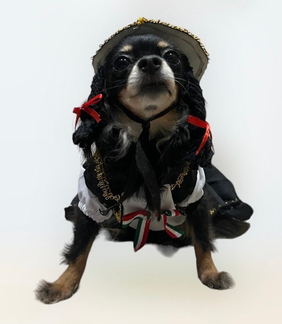 Mexican dog outfit hotsell