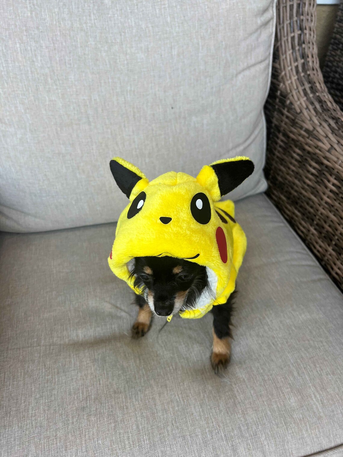 Pikachu Dog Sweater Pikachu Dog Sweater Dog Hoodie - Etsy