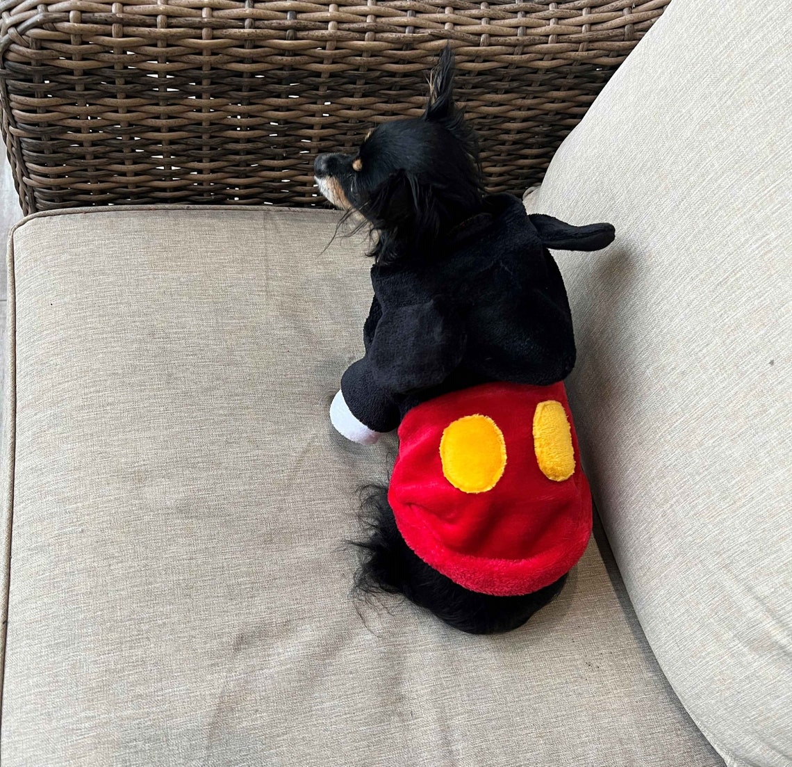 Mickey Mouse Dog Sweater Winter Sweater Dog Mickey Sweater Etsy