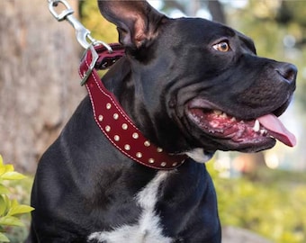 May include: A black dog wearing a burgundy leather collar with silver rivets and a matching leash. The dog has a white patch on its chest and is looking to the right with its mouth open and tongue out.