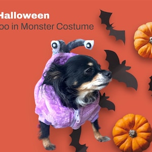 May include: A small black and brown dog wearing a purple monster costume with large googly eyes. The dog is looking to the right of the image. The background is a solid orange colour with black bats and orange pumpkins.