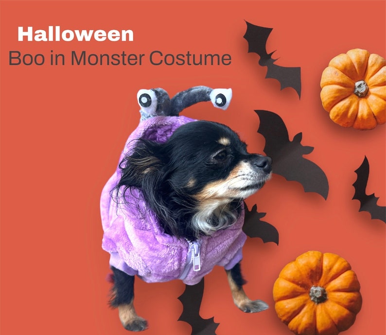 May include: A small black and brown dog wearing a purple monster costume with large googly eyes. The dog is looking to the right of the image. The background is a solid orange colour with black bats and orange pumpkins.