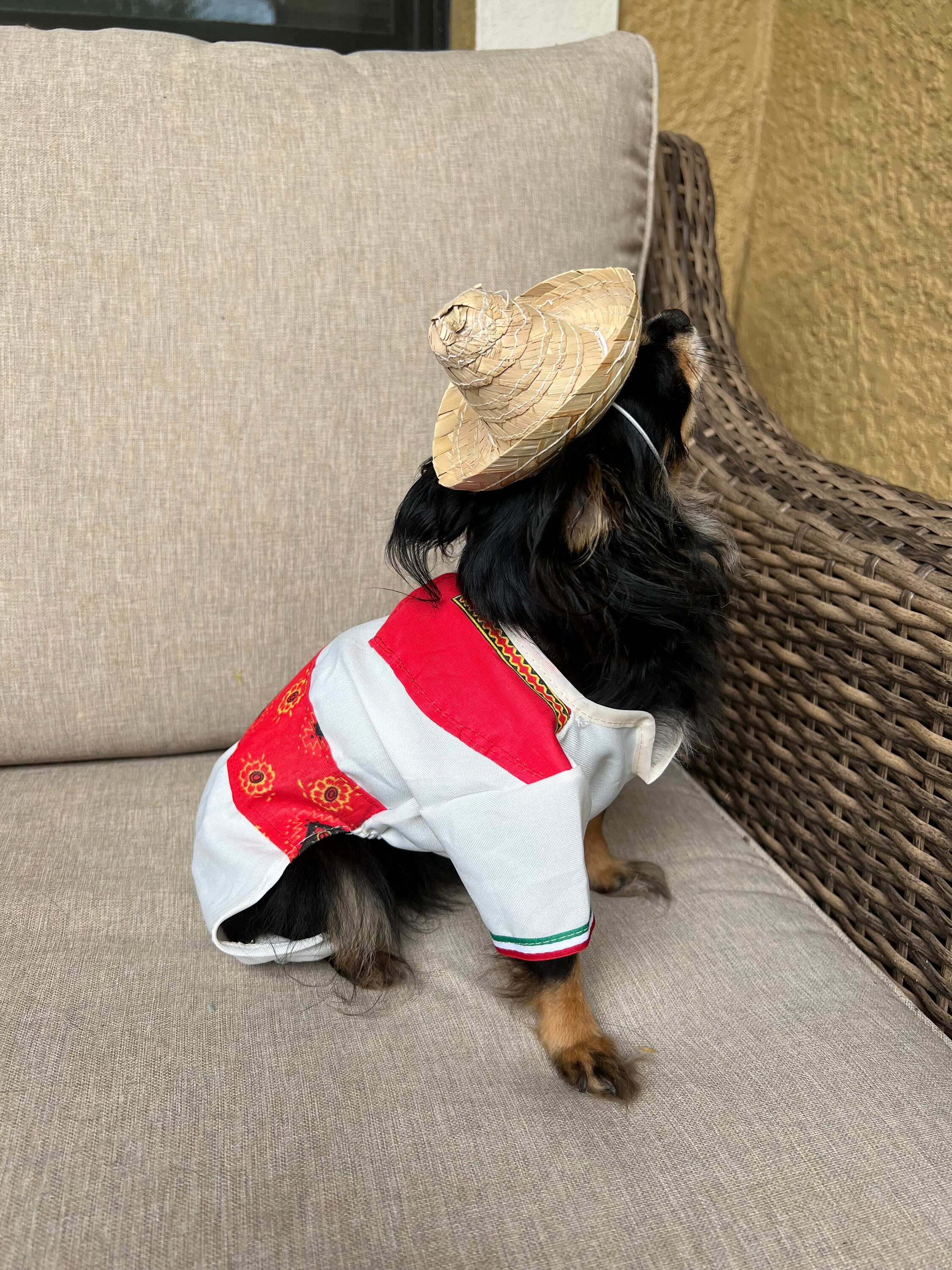Charro top dog costume
