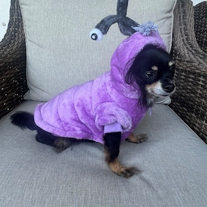 May include: A small black dog wearing a purple hooded costume with a grey alien antenna with two white eyes on top of the hood. The dog is sitting on a grey sofa.