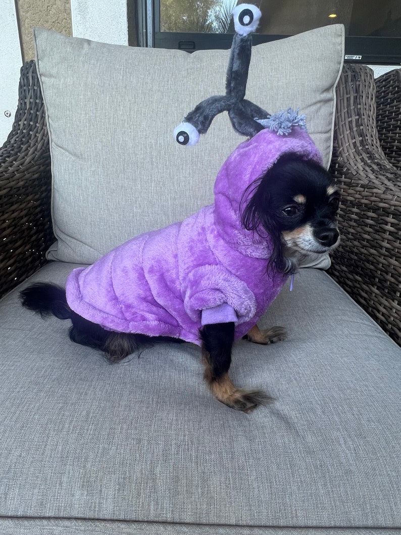 May include: A small black dog wearing a purple hooded costume with a grey alien antenna with two white eyes on top of the hood. The dog is sitting on a grey sofa.