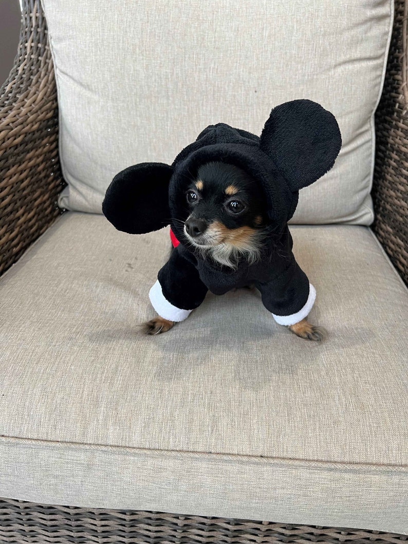 Mickey Mouse Dog Sweater Winter Sweater Dog Mickey Sweater Etsy