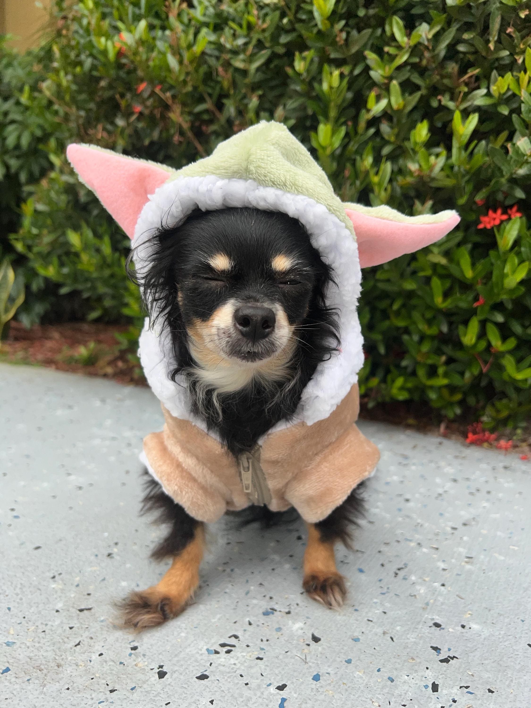 Baby and Dog Costume Canada