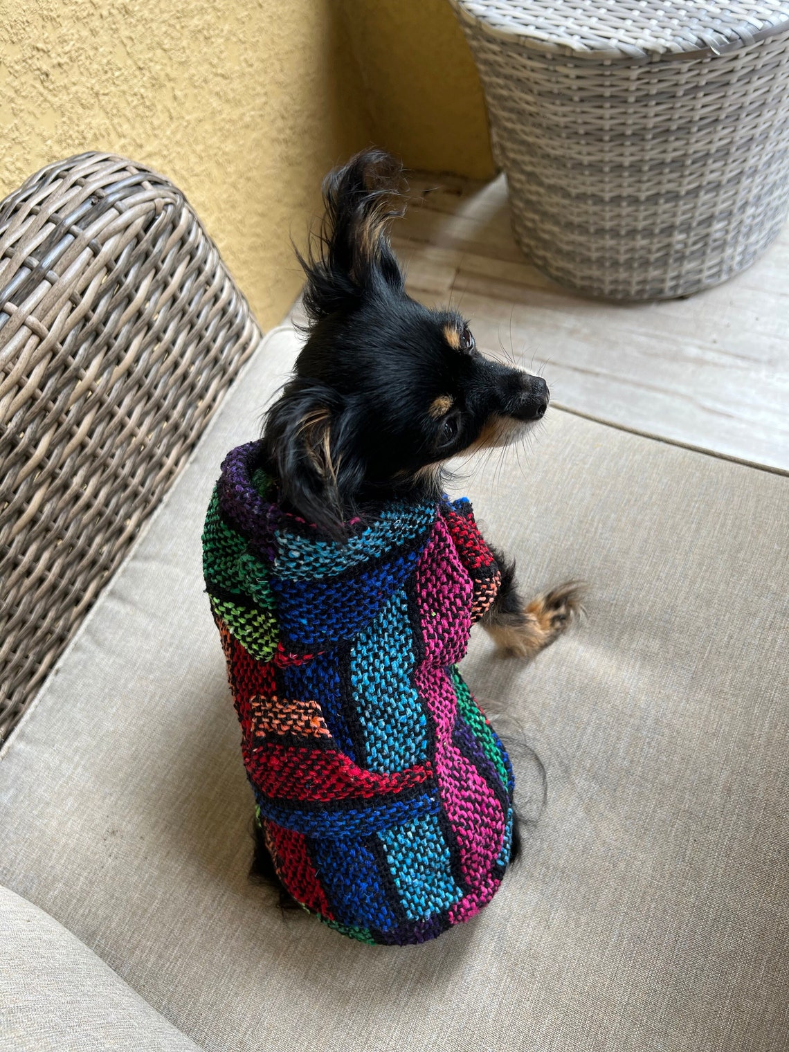 Baja Dog Poncho SIZE 1mexican Dog Hoodiemexican Poncho dog Etsy